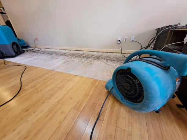 Professional Structural Drying technician working in Climax Springs, MO